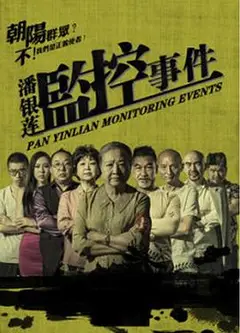 潘银莲监控事件