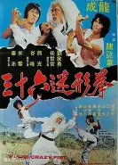 三十六迷形拳