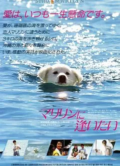想见玛丽琳