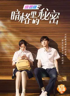 暗格里的秘密 速看版