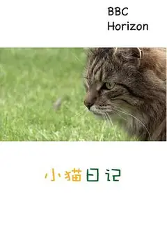 地平线系列：小猫日记