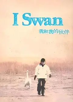 我和我的伙伴