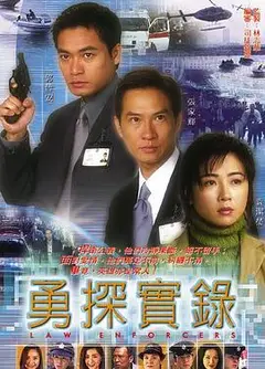 勇探实录粤语