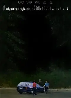 安全领域