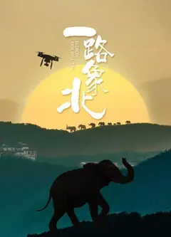 一路“象”北
