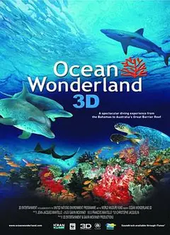 海洋仙境