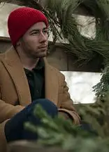 乔纳森兄弟：圣诞大电影