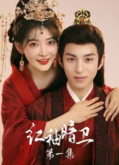 红袖暗卫