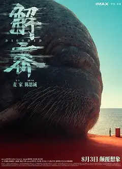 解密 2024