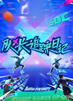 队长追踪日记
