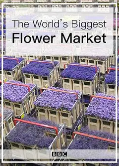 世界上最大的鲜花市场