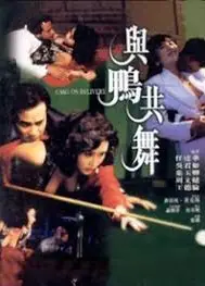 与鸭共舞