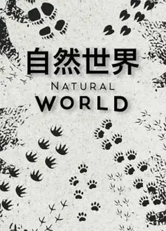 自然世界第一季