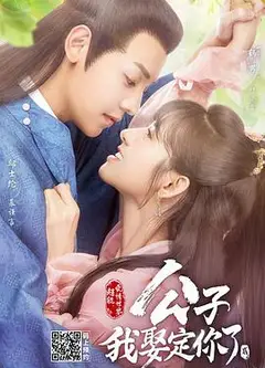 公子，我娶定你了2