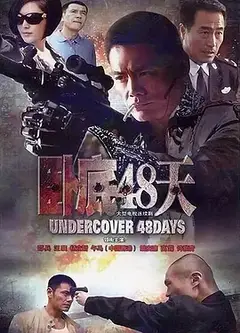 卧底48天