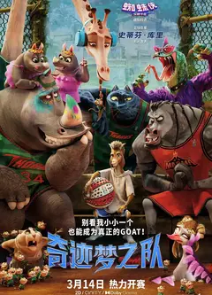 奇迹梦之队（国语版）