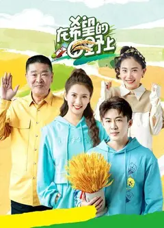 在希望的田野上2022