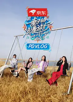 妻子的浪漫旅行第六季PDvlog