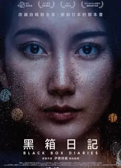 黑箱日记