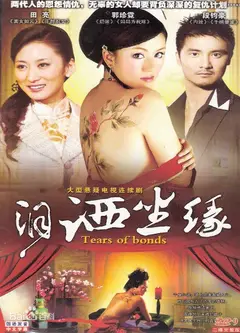泪洒尘缘