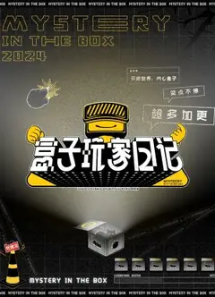 盒子玩家日记