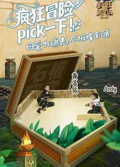 疯狂的麦咭第五季