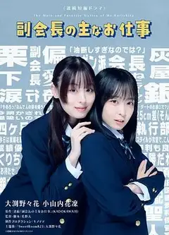 副会长的主要工作