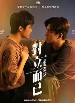 对立而已
