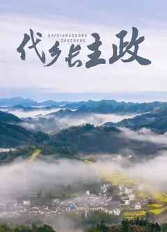 代乡长主政