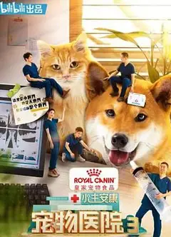 小主安康-宠物医院3