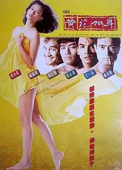 黄袍加身
