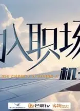 初入职场·机长季