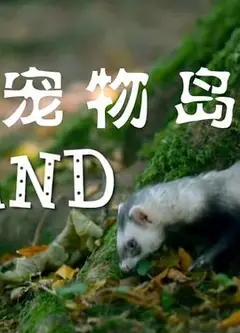 宠物岛