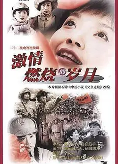 激情燃烧的岁月