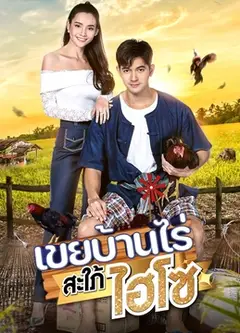 农家女婿和千金媳妇