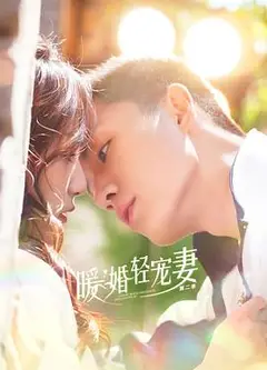 暖婚轻宠妻 第二季