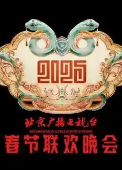 2025北京卫视春晚