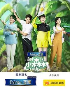 奇妙小森林