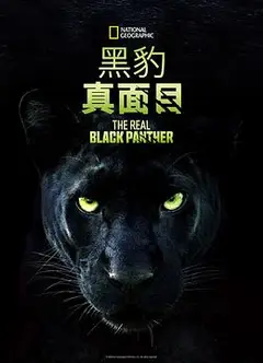 真黑豹无双