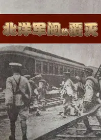 北洋军阀的覆灭