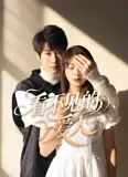 看不见的爱人电影版