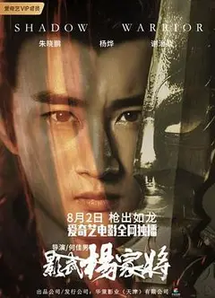 影武杨家将