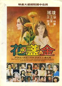 金盏花1980
