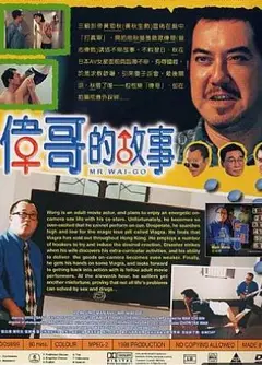 伟哥的故事