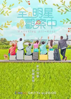 全明星观察中   第二季