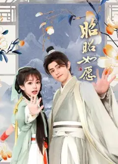 昭昭如愿