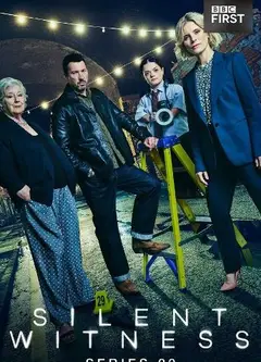 无声的证言第二十九季