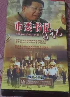 市委书记日记