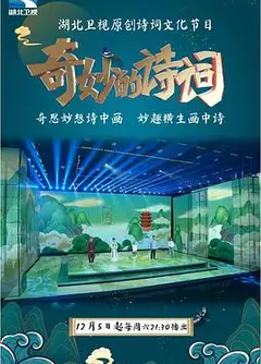 奇妙的诗词