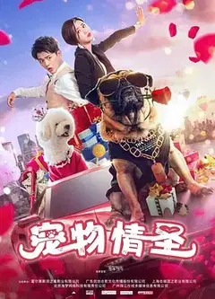 宠物情圣